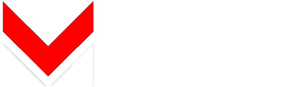 Media Vision Footer Logo